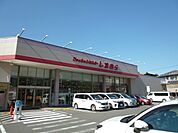 その他「シマムラまで200m」