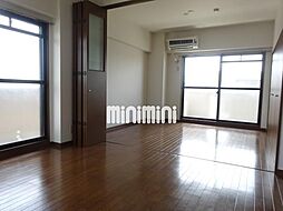 ＦＩＬＬ ＳＨＩＮＥ フィル　シャイン