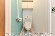 写真はイメージです