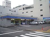 コンビニ「ローソンまで160m」