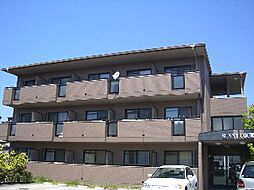 ＳＵＮＮＹ　ＣＯＵＲＴ