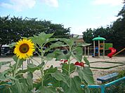 公園「上の宮公園まで340m」