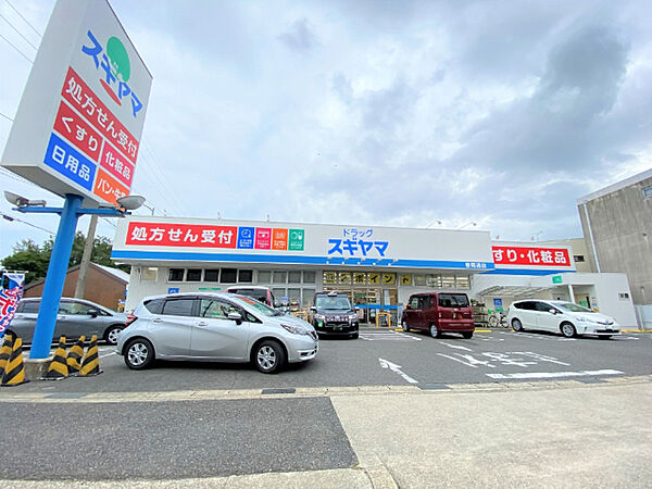 画像27:ドラッグストア 「ドラッグスギヤマ春岡通店まで781m」