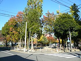 サンライズ新金山  ｜ 愛知県名古屋市中区古渡町（賃貸マンション1K・5階・24.09㎡） その21