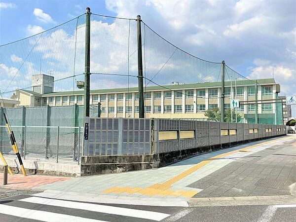 画像25:小学校「名古屋市立白鳥小学校まで907m」