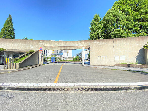 画像23:大学「国立名古屋工業大学まで1247m」