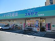ドラッグストア 「ドラッグスギヤマまで900m」