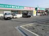 周辺：その他「ドラック　セイムスまで230m」