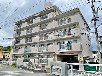 外観 外観