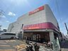 周辺：複合モール「ザ・ビッグエクスプレス平針店まで733m」