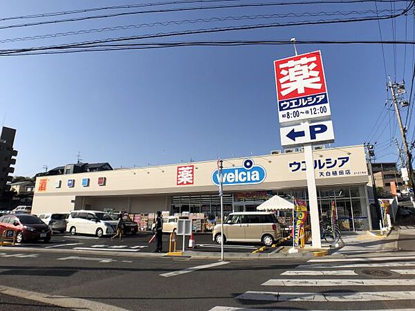 プロスペラール植田