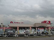 スーパー「アオキスーパーまで480m」