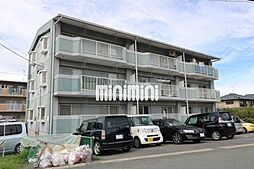 ヴィンテージ本多 III