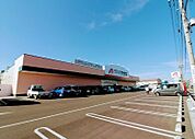 ドラッグストア 「クスリのアオキ武豊店まで454m」