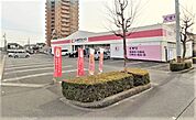 ドラッグストア 「ココカラファイン花園店まで883m」