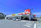 ドラッグストア 「スギ薬局上池店まで714m」