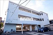 2020年12月撮影