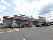 ドラッグストア 「B＆Dドラッグストア岩野店まで491m」