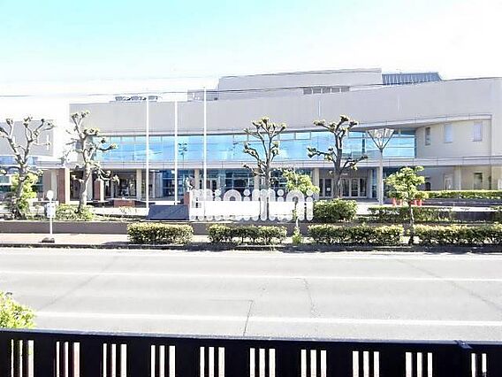 レクエルド藤浪_その他_2