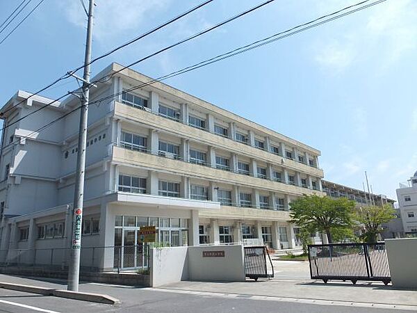 画像25:小学校「津島市立蛭間小学校まで1574m」