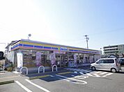 コンビニ「ミニストップまで170m」