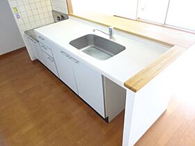 フォレステージ豊川  ｜ 愛知県豊川市馬場町郷前（賃貸マンション3LDK・1階・75.75㎡） その17