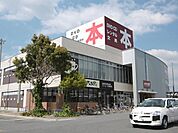 レンタルビデオ「本の王国まで660m」