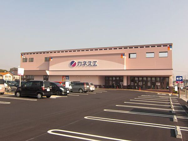 画像22:スーパー「カネスエまで1100m」