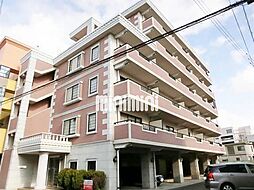 グレイスコート