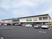 スーパー「えぷろん元宮店まで550m」