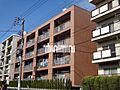 ＲＥＧＡ　ＩＮＡＺＡＷＡ