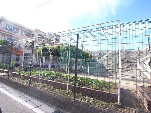 画像27:幼稚園、保育園「富士保育園まで420m」