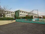 小学校「常滑市立常滑東小学校まで906m」