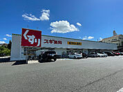 ドラッグストア 「スギ薬局前後店まで700m」
