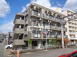 コスモス・シシェール