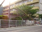 小学校「蟹江町立新蟹江小学校まで668m」