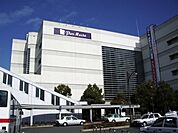 その他「パレマルシェまで420m」