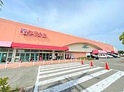 スーパー「ヨシヅヤ弥富店まで1663m」
