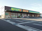 ドラッグストア 「杏林堂静岡小鹿店まで310m」
