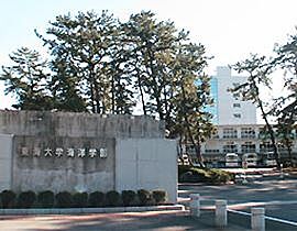 園ハイツ  ｜ 静岡県静岡市清水区幸町（賃貸アパート1K・2階・25.00㎡） その23