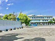 小学校「静岡市立清水袖師小学校まで400m」