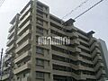 ル・シェモア泉町