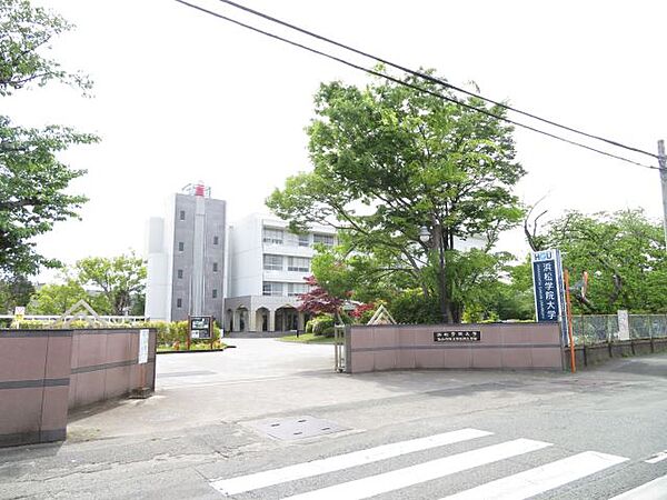 画像24:大学「浜松学院大学まで290m」