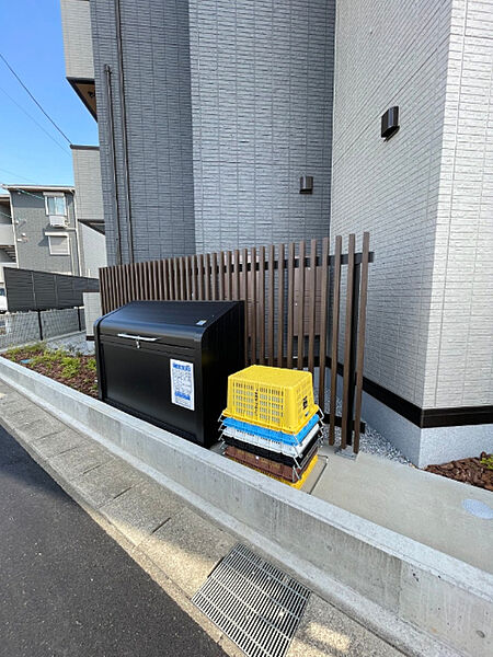 Ｄ−Ｈｉｌｌｓ初生