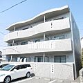 スターターハウス