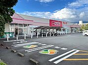 スーパー「マックスバリュ沼津原町西店まで1213m」
