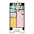 ティアラ川村9階7.3万円