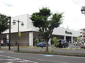 パークヒルズ田沼  ｜ 静岡県藤枝市田沼１丁目（賃貸マンション1LDK・3階・44.76㎡） その10