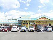 その他「杏林堂まで1100m」