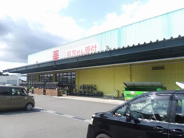 画像24:ドラッグストア 「杏林堂薬局　掛川花鳥園前店まで940m」